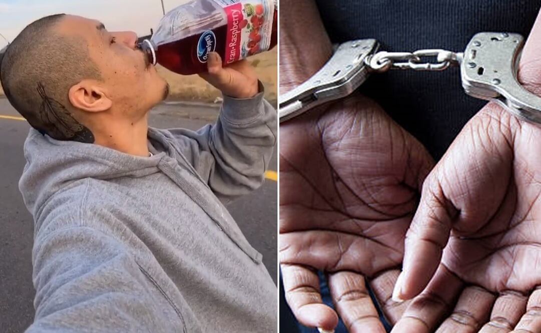 Foto: Instagram @doggface208 y Pixabay