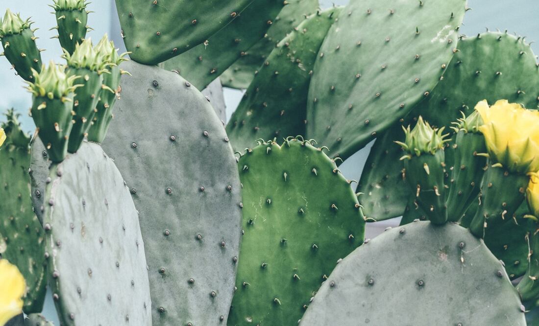 Foto: Khara Woods / Unsplash