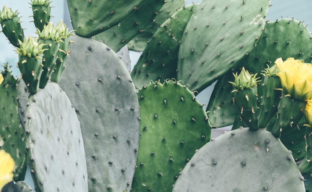 Foto: Khara Woods / Unsplash