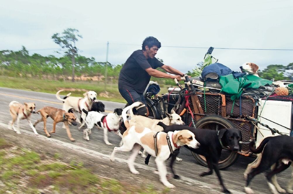 Un triciclo con ropa, trastos y algunas herramientas fueron los aliados de Edgardo al iniciar su travesía por la costa del Pacífico. Hoy lo acompaña una docena de perros (FOTOS: FREDY MARTÍN. EL UNIVERSAL)