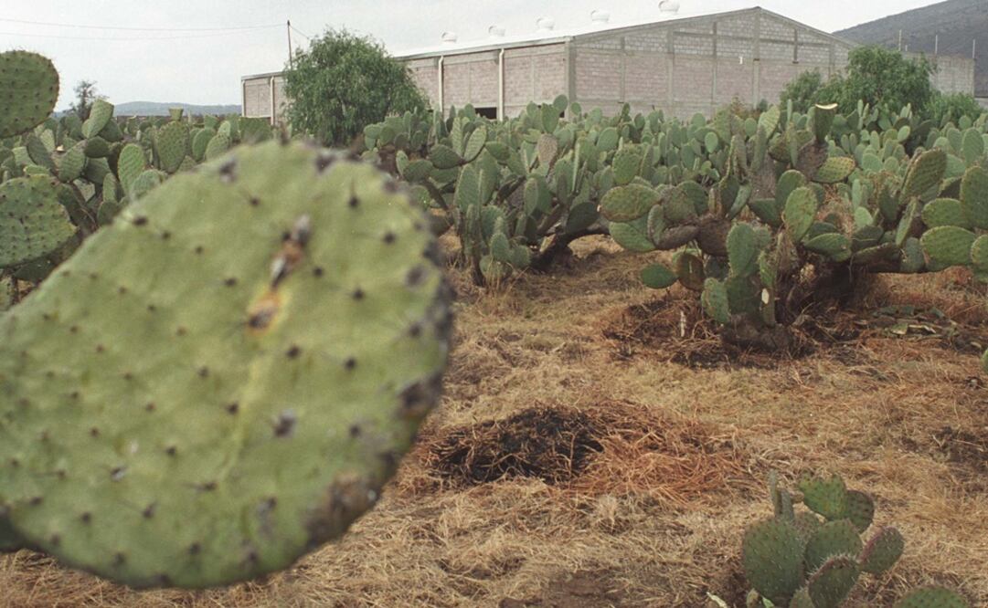 Foto: Archivo / EL UNIVERSAL