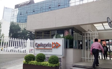 Cofepris niega que obstaculice las solicitudes de cannabis medicinal