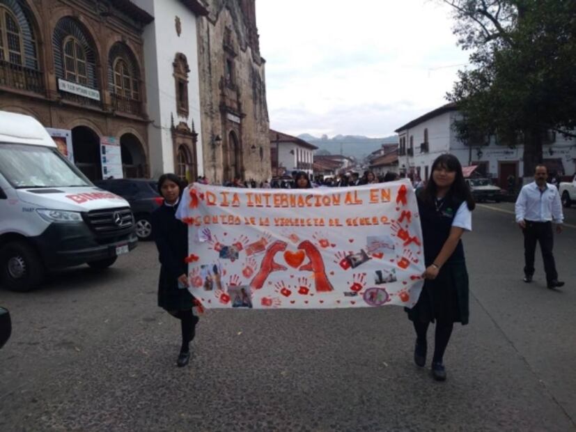 Mujeres en varios estados marchan por el 25N