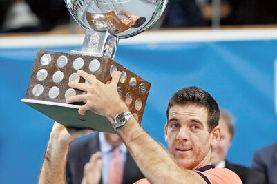 Después de tres años, Del Potro logra coronarse