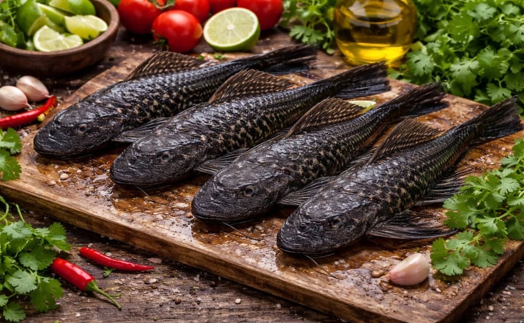 Foto: Imagen creada con AI.