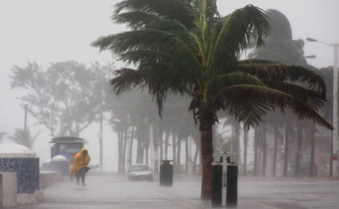 (Photo: Archive/El Universal)