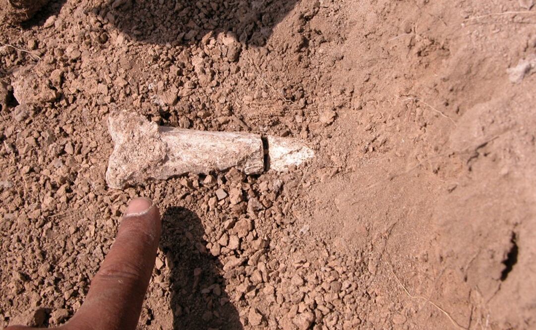 Un dedo señala una tibia. Foto: Archivo