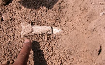 Restos humanos en Reino Unido datan de hace 500 mil años