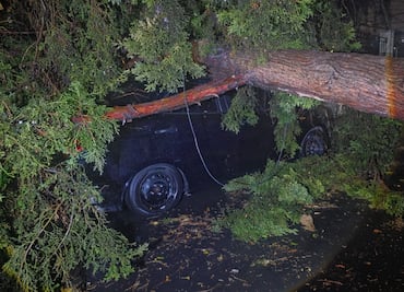 Activaron operativo Tlaloque por fuertes lluvias en la CDMX; Álvaro Obregón y Magdalena Contreras, las alcaldías más afectadas
