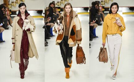 Perritos desfilan en Milán y arrasan Internet