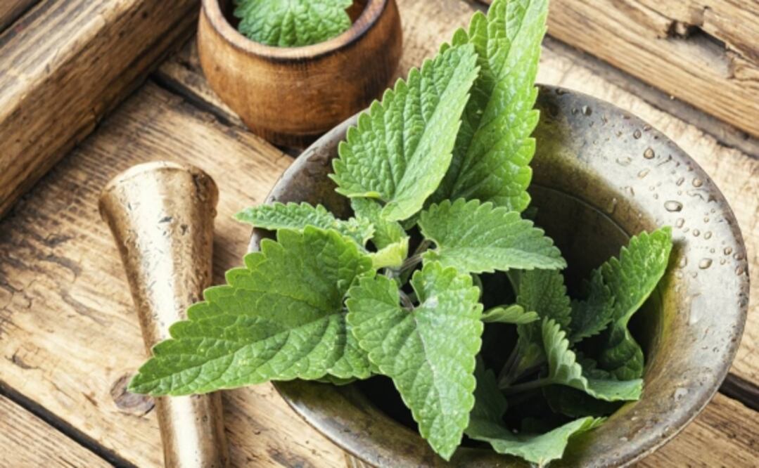 Si padeces insomnio o el estrés muchas veces no te deja dormir, encontramos el remedio perfecto para conciliar el sueño de manera natural sin consumir ningún medicamento para dormir mejor. Foto: Archivo / El Universal