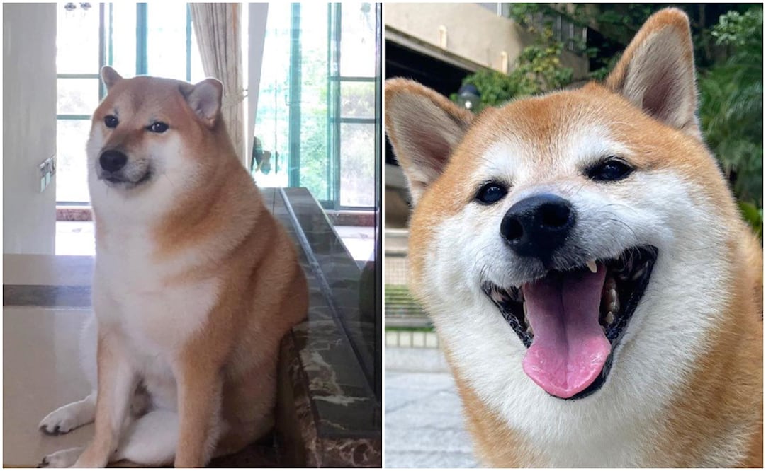 Foto: Captura de pantalla