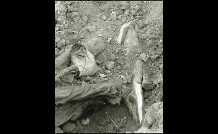 Madres Buscadoras de Sonora encuentran más de 20 cuerpos sepultados en Cajeme