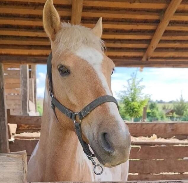 Cuánto cuesta ir a Alpinia, el parque de naturaleza en Puebla