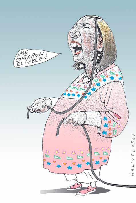 Cartón de HELIOFLORES