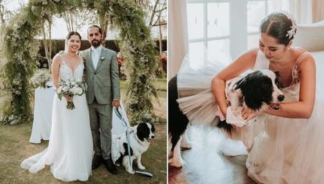 Boda pet friendly enternece en las redes: ¡Lomitos hasta en el pastel!