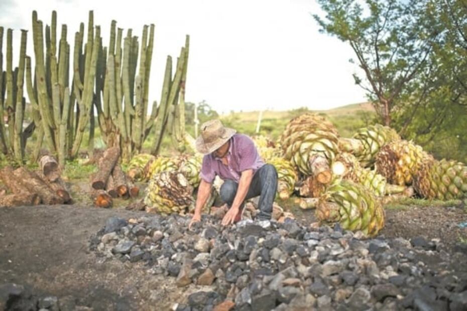 “Pasamos meses sin vender ni un litro de mezcal”