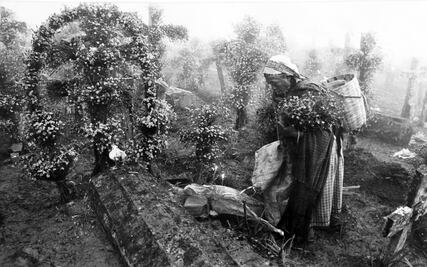 ¿Cómo era el Día de Muertos hace 100 años?