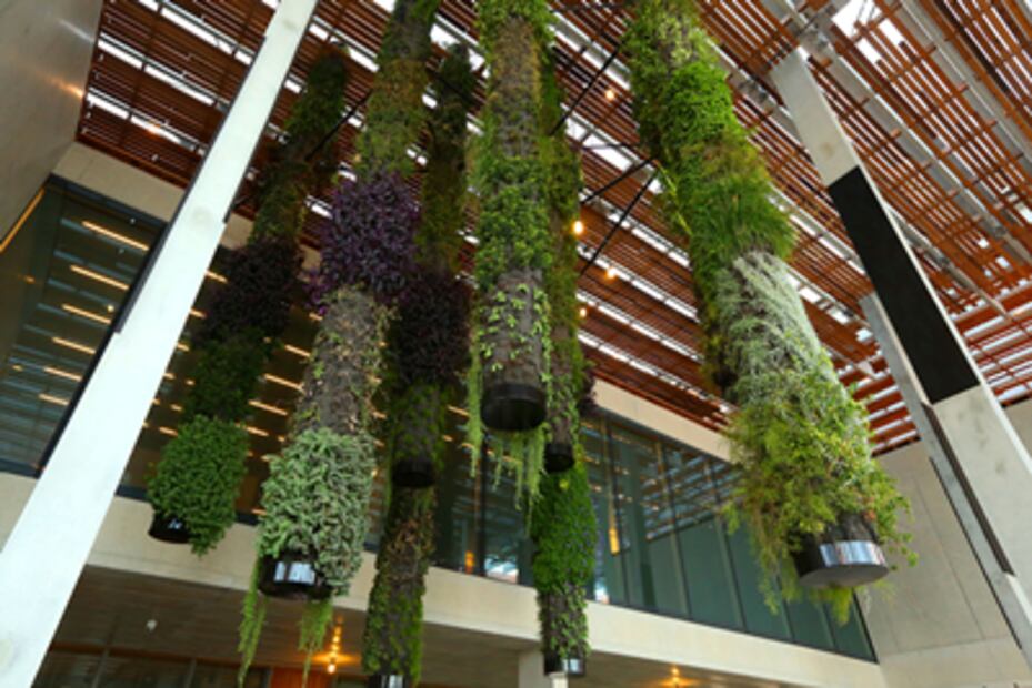 El nuevo icono de Miami: el Pérez Art Museum