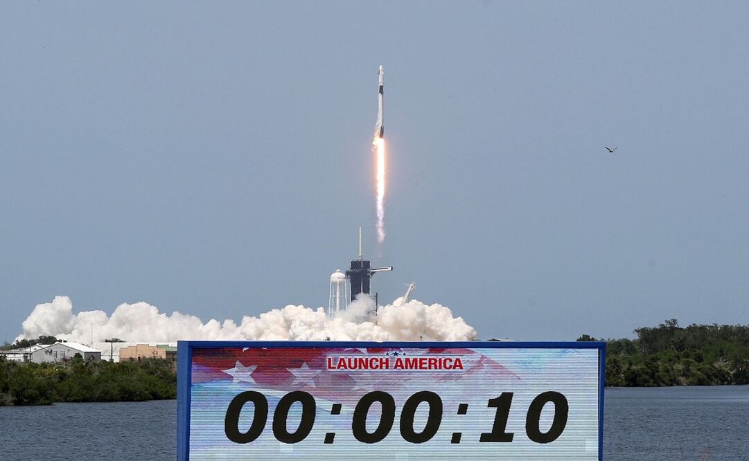 Foto: Gregg Newton / AFP