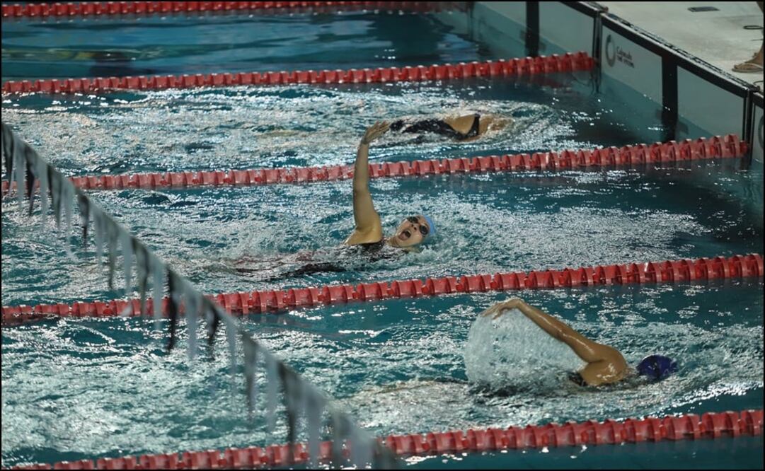 Foto. Carlos Zepeda/ EL UNIVERSAL