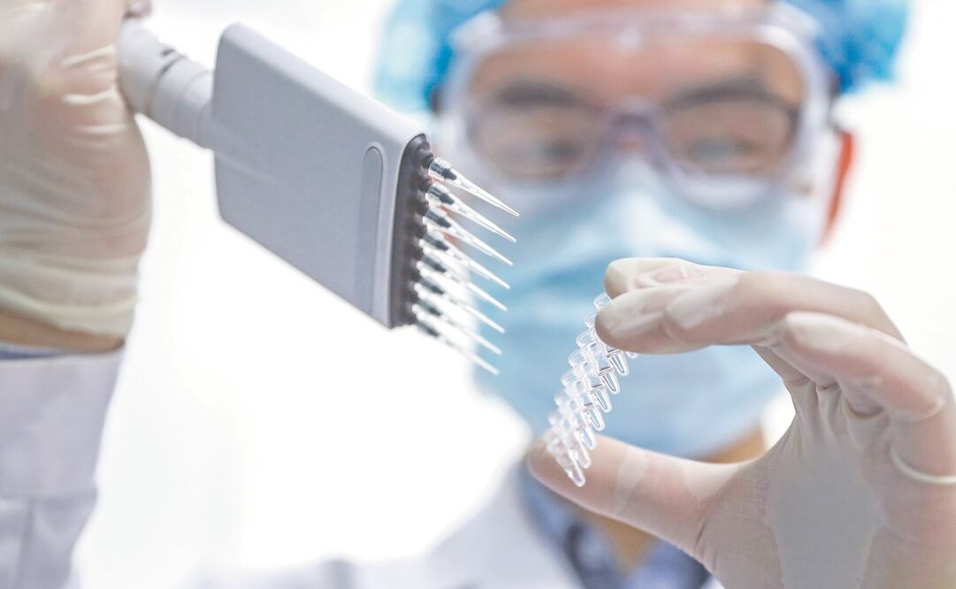 La búsqueda de la vacuna contra el Covid-19 es una de las prioridades del Reino Unido, dijo su embajadora en México, Corin Robertson. Foto: ARCHIVO EL UNIVERSAL