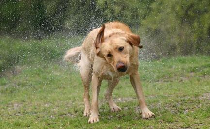 Habrá ambiente caluroso y lluvias ligeras este lunes 25 de abril en la CDMX