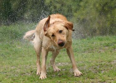 Habrá ambiente caluroso y lluvias ligeras este lunes 25 de abril en la CDMX