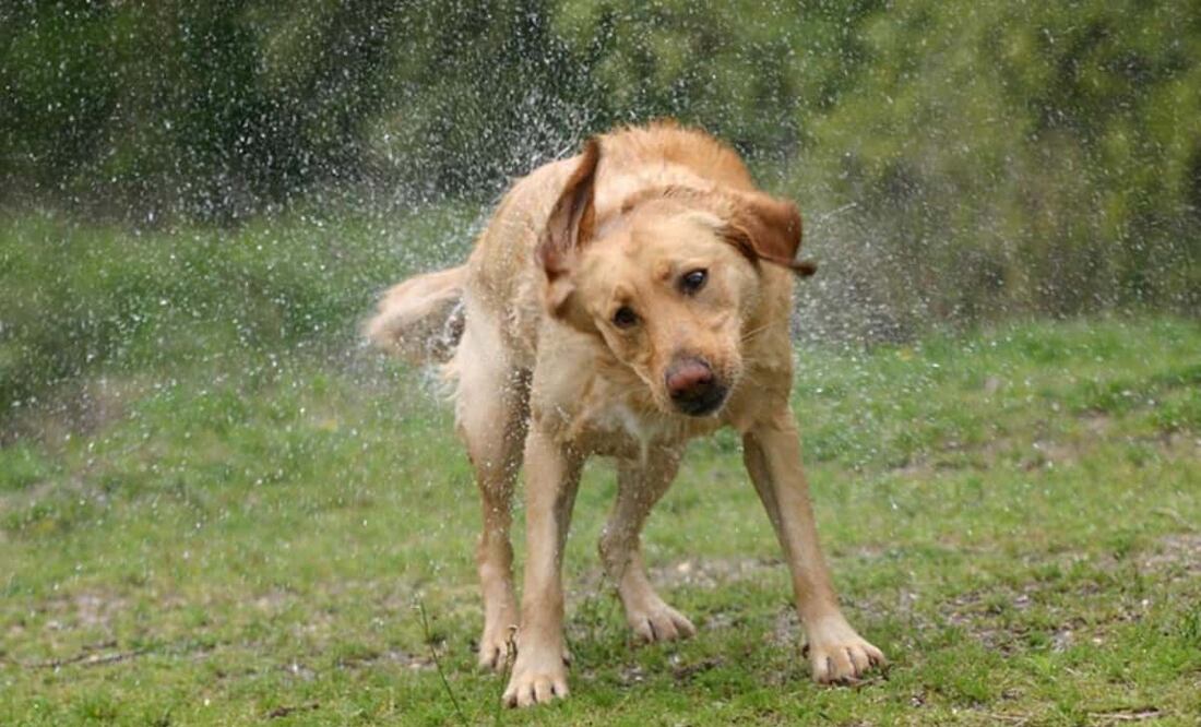 se mantendrá el ambiente caluroso la mayor parte del día en la Ciudad de México. Foto Pixabay