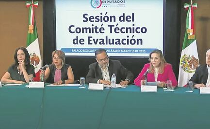 Avanzan 203 aspirantes en la carrera por el INE