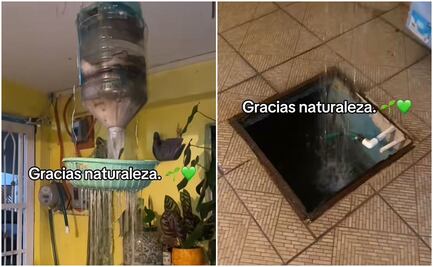 Joven presume captación de agua pluvial en casa tras fuertes lluvias: ¿qué es y cómo se hace?