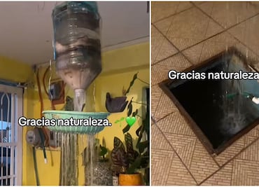 Joven presume captación de agua pluvial en casa tras fuertes lluvias: ¿qué es y cómo se hace?