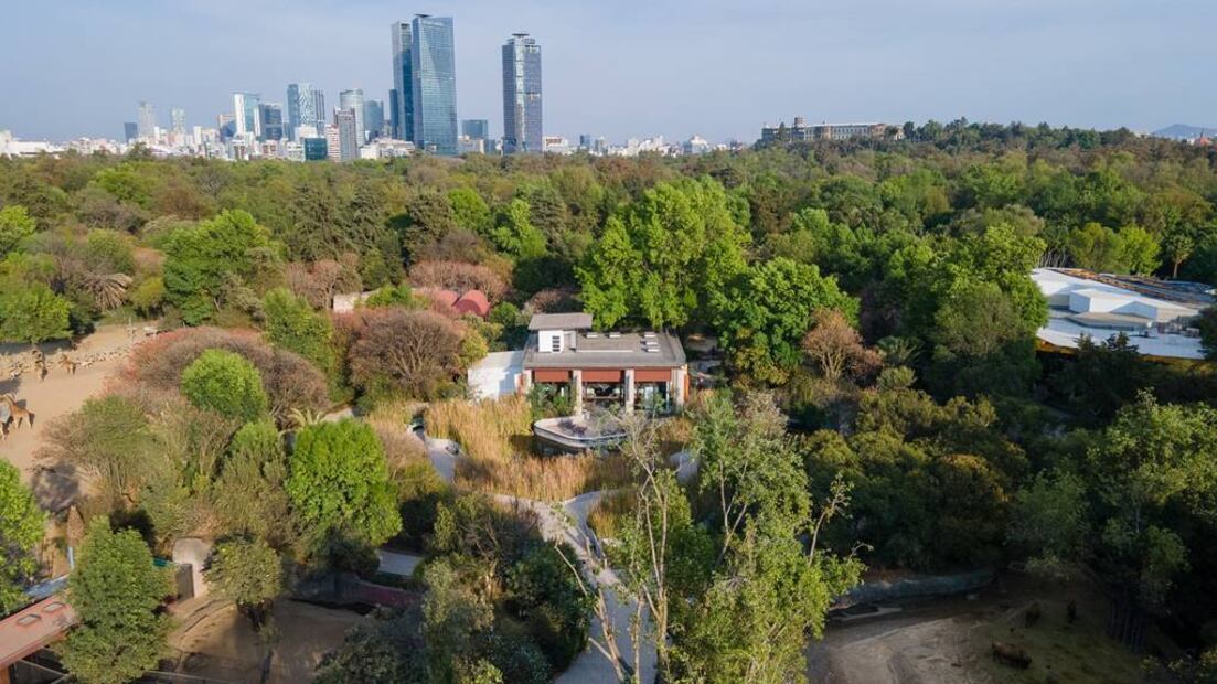 Foto: Facebook 'Animalística: Festival del Bosque de Chapultepec'