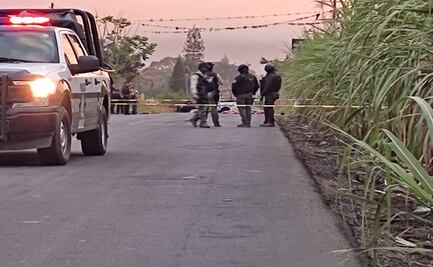 Abandonan cuatro descuartizados en Veracruz