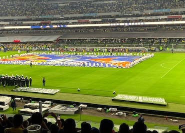 Asociación Mexicana de Titulares de Palcos y Plateas no representa a todos; incluye apenas un 30 por ciento de dueños