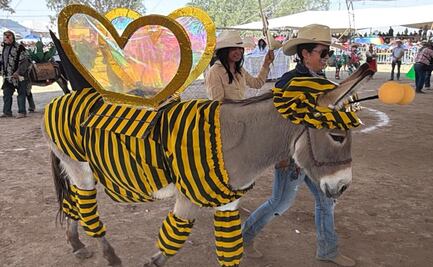 Burrita “Abejita Chiquitita Beky” gana en Otumba; arrasa en la Feria del Burro 2026