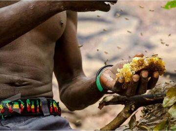 La extraña relación de personas y pájaros para recolectar miel