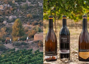 Los vinos de Clos-Pons una joya catalana de tradición y sustentabilidad