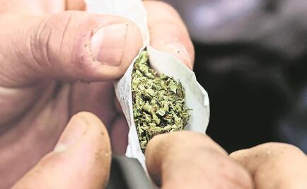 EU seguirá considerando peligrosa a la marihuana 