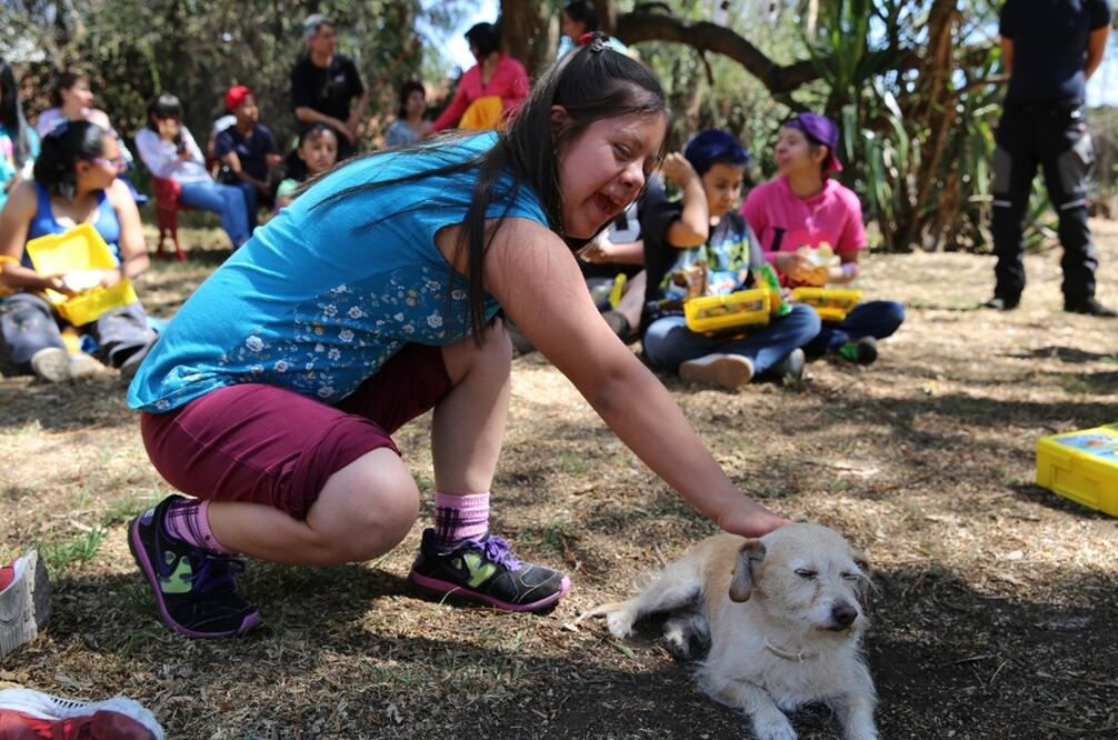 “Micho” junto con seis perros más que han sido rescatados de las calles ayudan a los pequeños en sus procesos de sanación. Juntos conforman la comunidad Acumi.