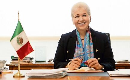 México no acepta que sus nacionales sean perseguidos: representación en la OEA