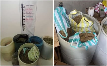 Hallan 110 kilos de marihuana durante cateo en Ecatepec