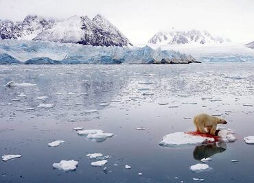 Un tercio de las personas aún duda sobre la crisis climática, revela estudio