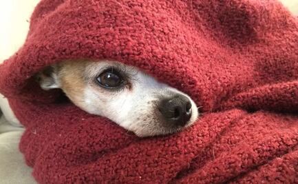 ¿A qué hora hará más frío hoy, 29 de noviembre de 2021?