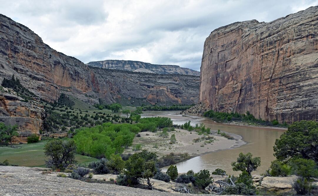 Foto: Eleanor C. Hasenbeck/Steamboat Pilot via AP, archivo