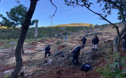 Autoridades encuentran tres cuerpos al interior de cueva en Oaxaca