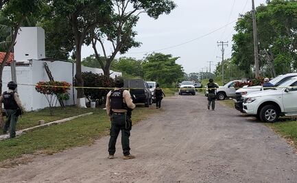 Suman cinco toneladas de droga decomisadas en finca de Veracruz en una semana