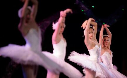 "El lago de los cisnes" cancela de nuevo