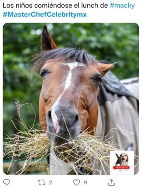 MasterChef Celebrity: Los mejores memes no perdonan la salida de Carmen Campuzano 