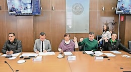 Avanza tipificación del ecocidio como delito en Edomex